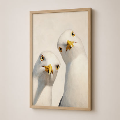 The Seagulls