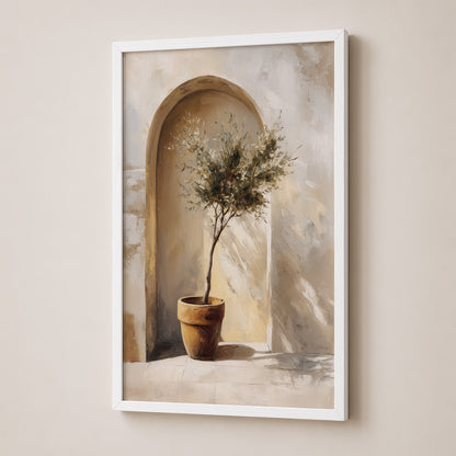 Olive Grove