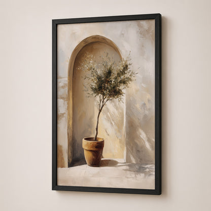 Olive Grove