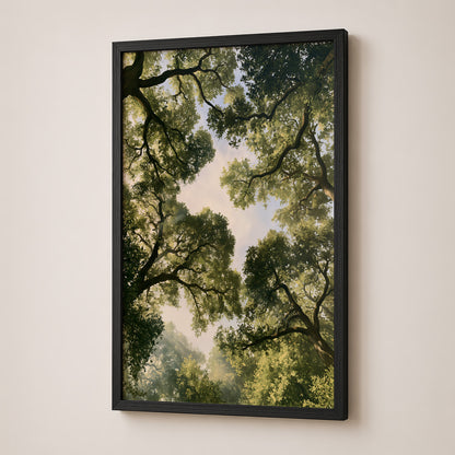 Forest Canopy