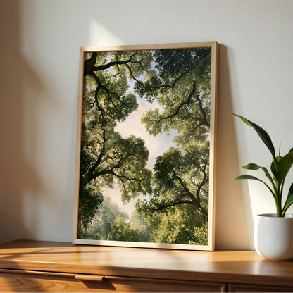 Forest Canopy
