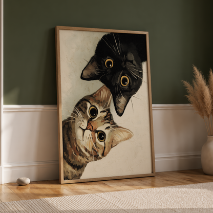 Curious Cats