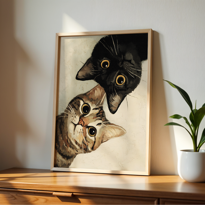 Curious Cats