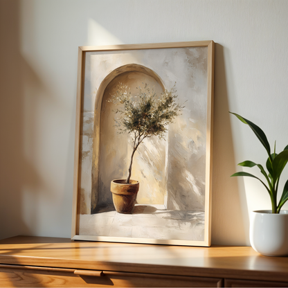 Olive Grove