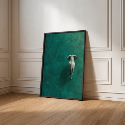 Solitary Elephant