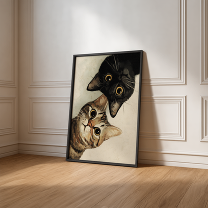 Curious Cats