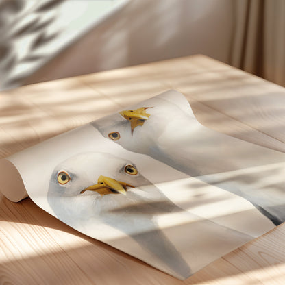 The Seagulls