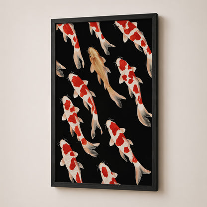 Koi Harmony