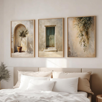 Olive Grove